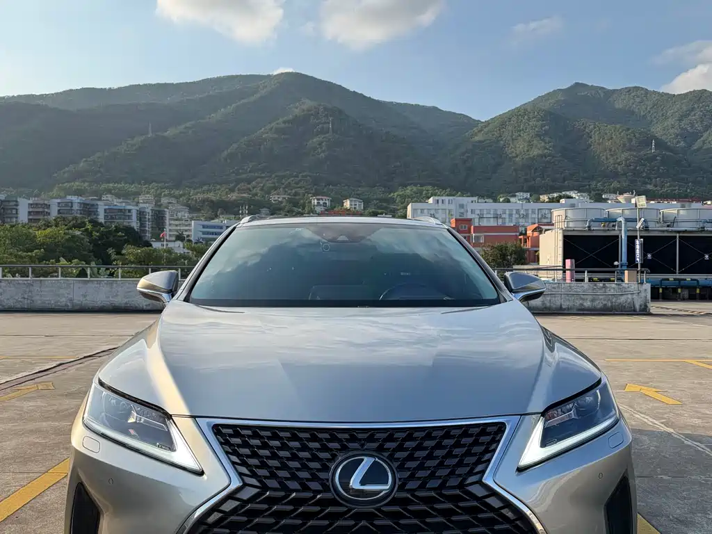 Lexus RX 2020 — фото 1