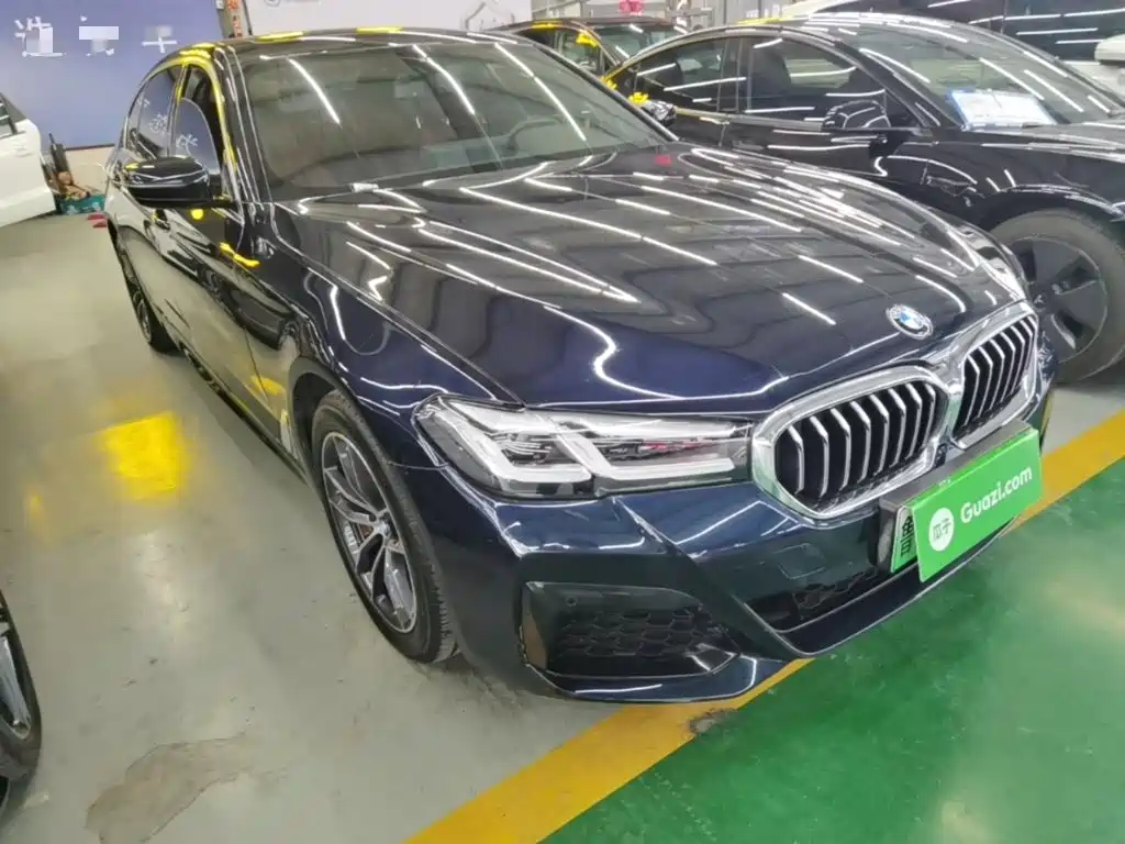 BMW 5 Series New Energy 2021