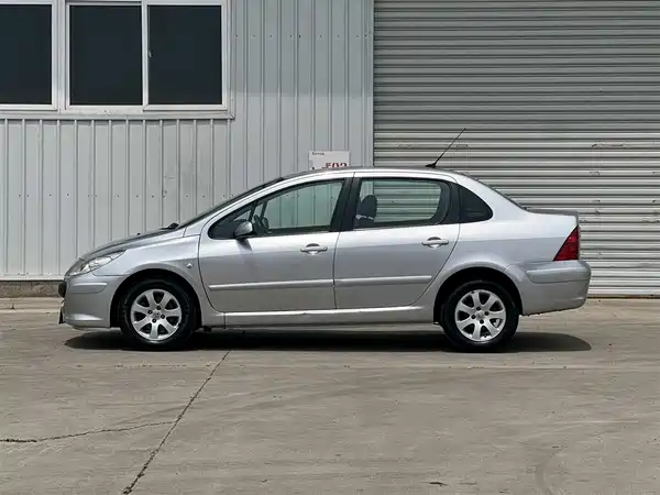 Peugeot 307 2009