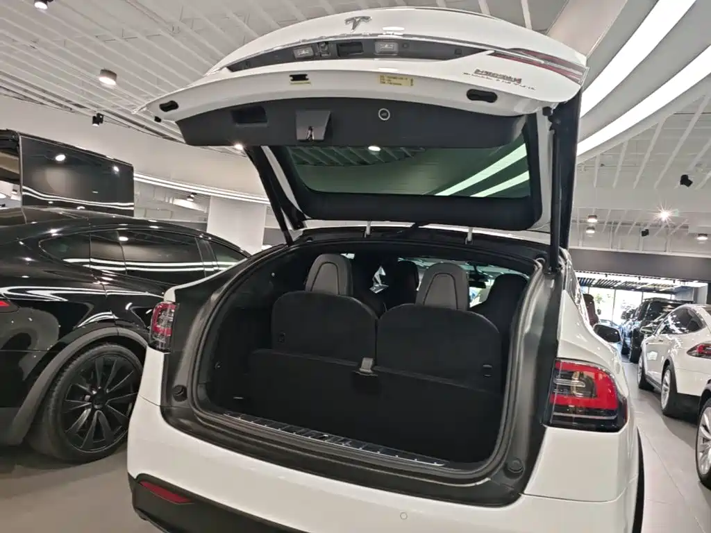 Tesla Model X 2019 — фото 15