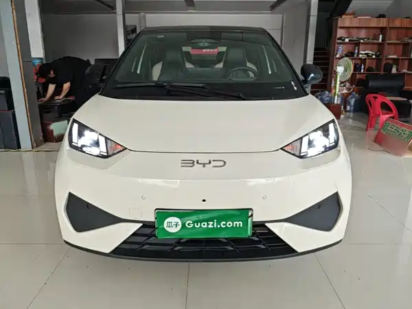 BYD Seagull 2025