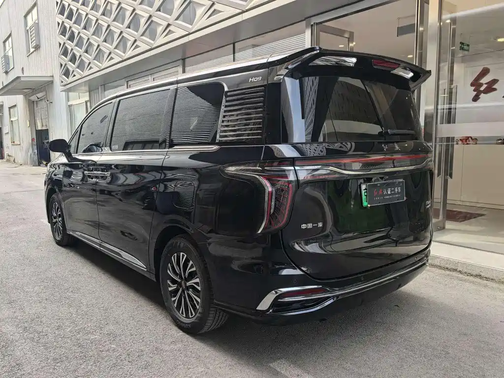 Hongqi HQ9 PHEV 2024 — фото 9