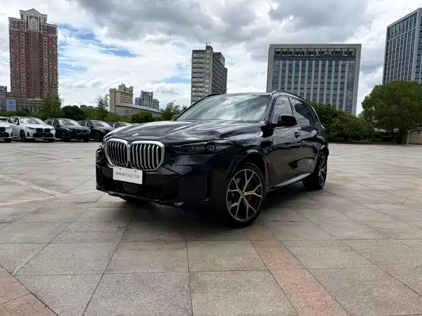 BMW X5 2024