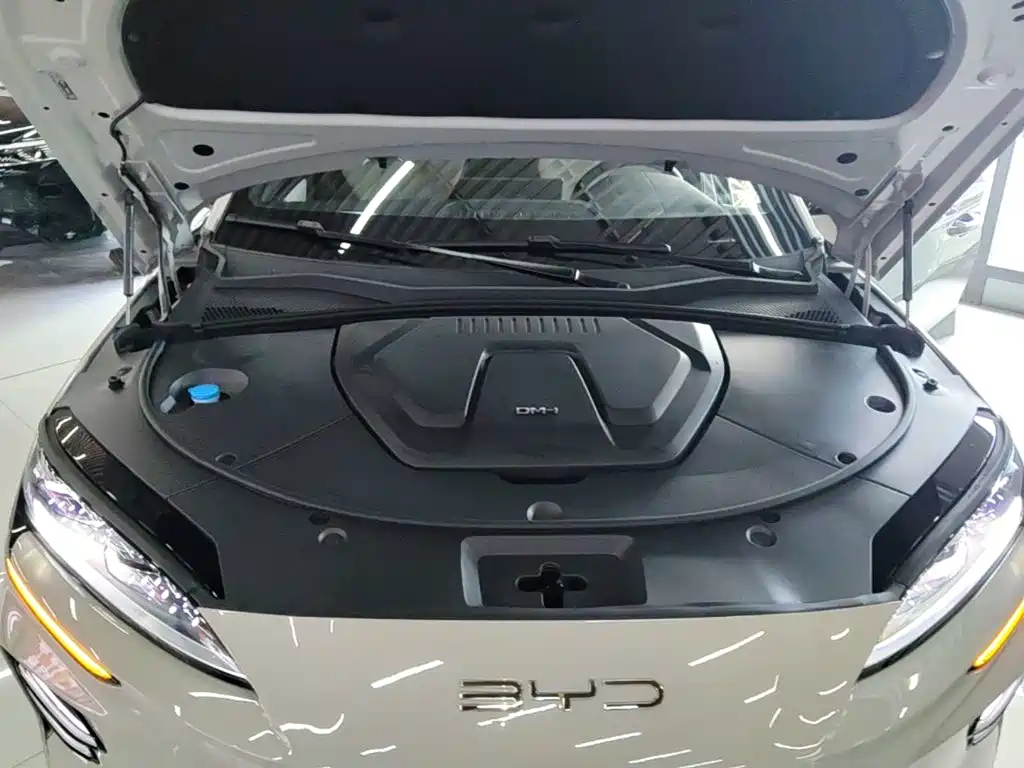 BYD Song PLUS New Energy 2024 — фото 20