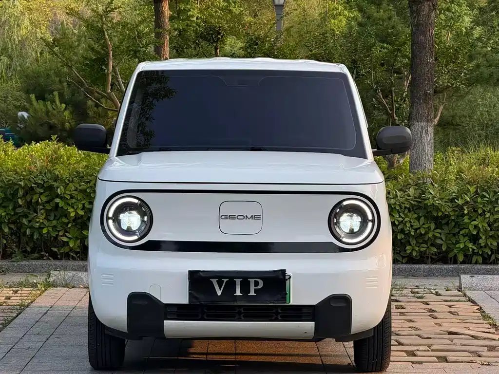 Galaxy Panda 2025