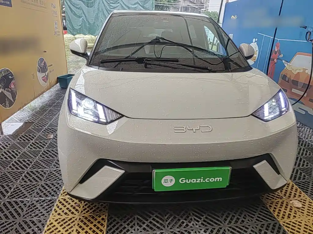 BYD Seagull 2024