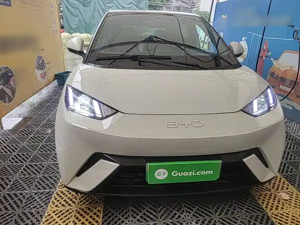 BYD Seagull 2024