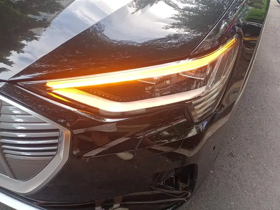 Audi e-tron 2021