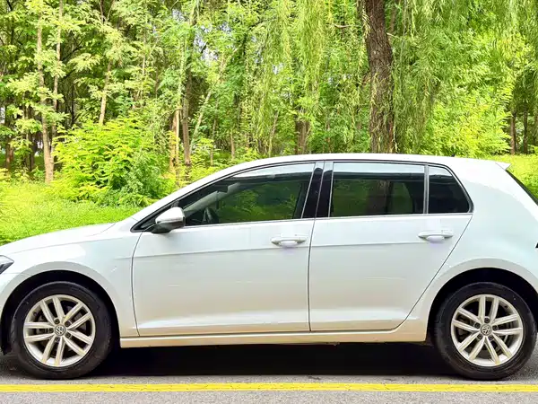 Volkswagen Golf 2019