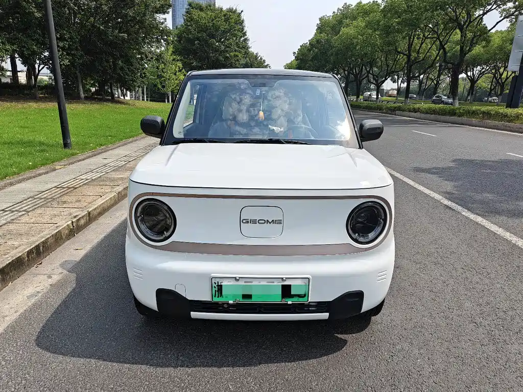 Geely Galaxy Panda 2023