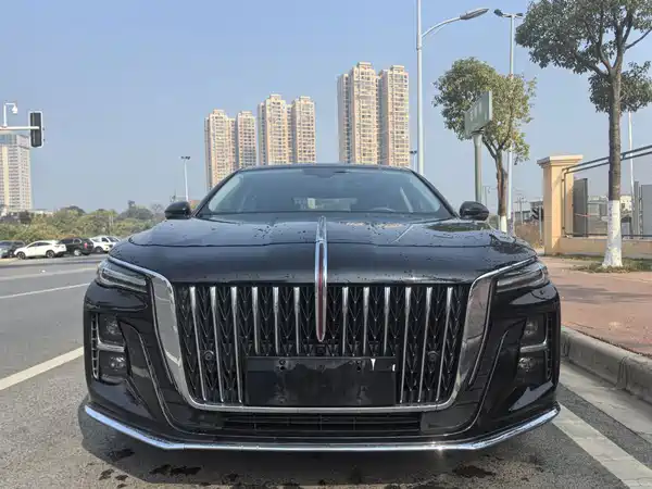 Hongqi H5 2023