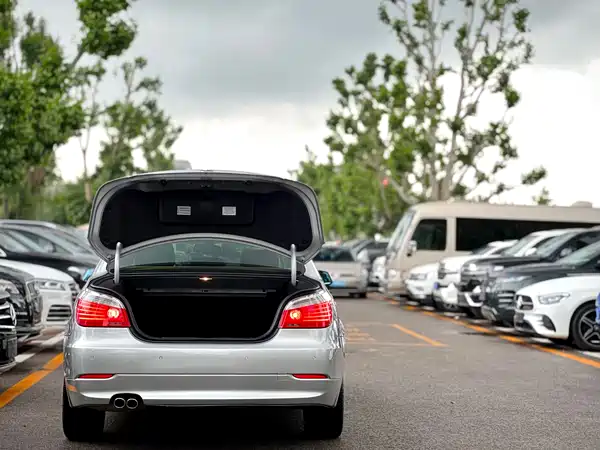 BMW 5 Series 2008