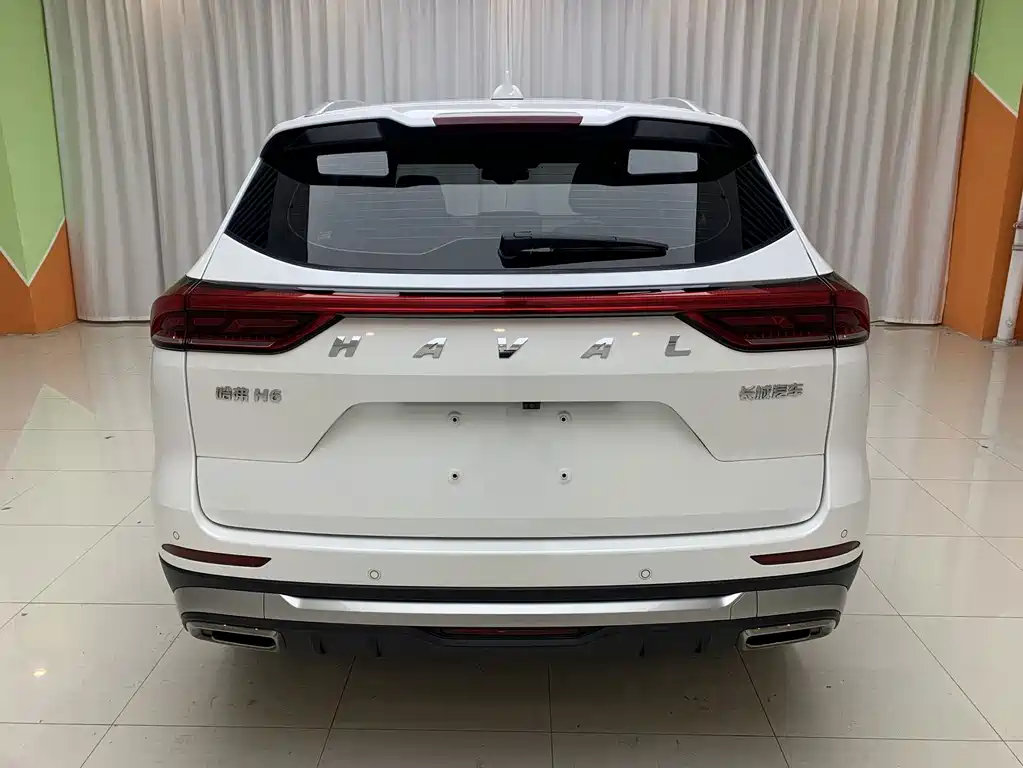 Haval H6 2023 — фото 16