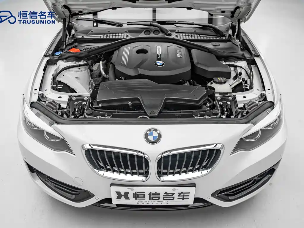BMW 2 Series 2019 — фото 20