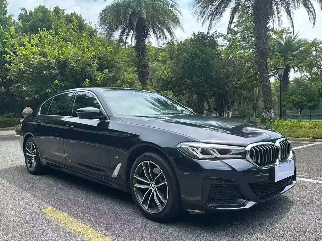 BMW 5 Series 2021