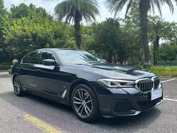BMW 5 Series 2021