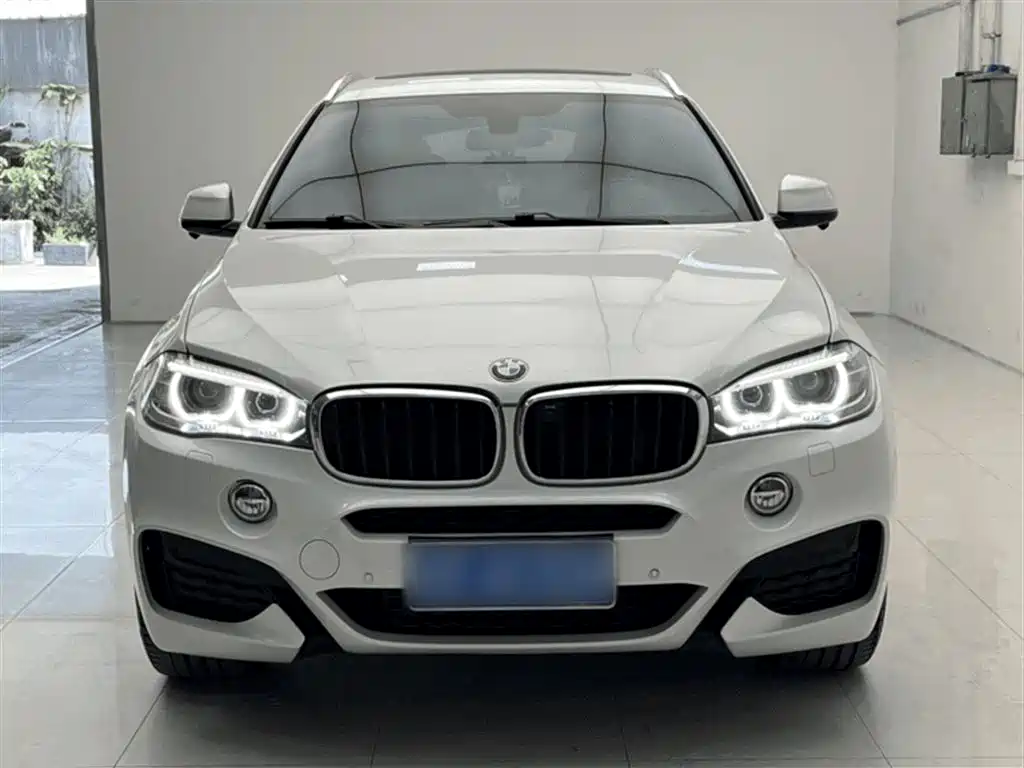 BMW X6 2019 — фото 13