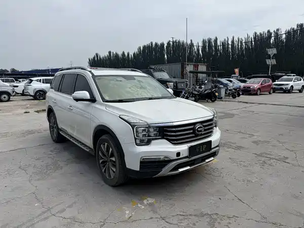 GAC Trumpchi GS8 2018