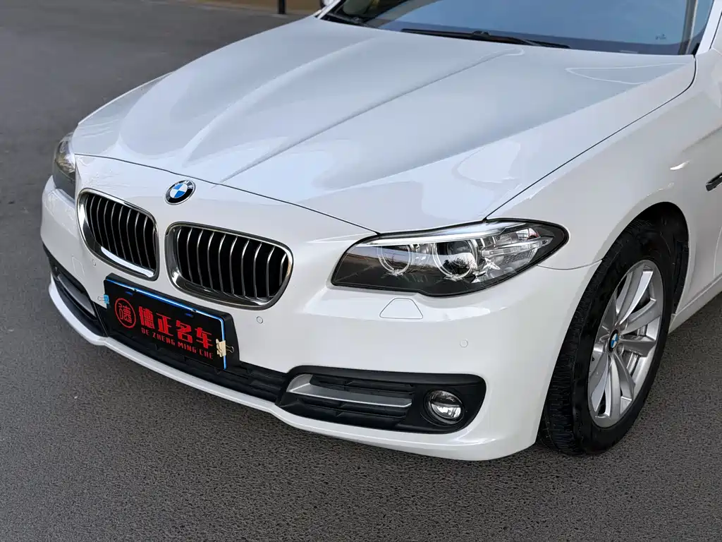BMW 5 Series 2016 — фото 9