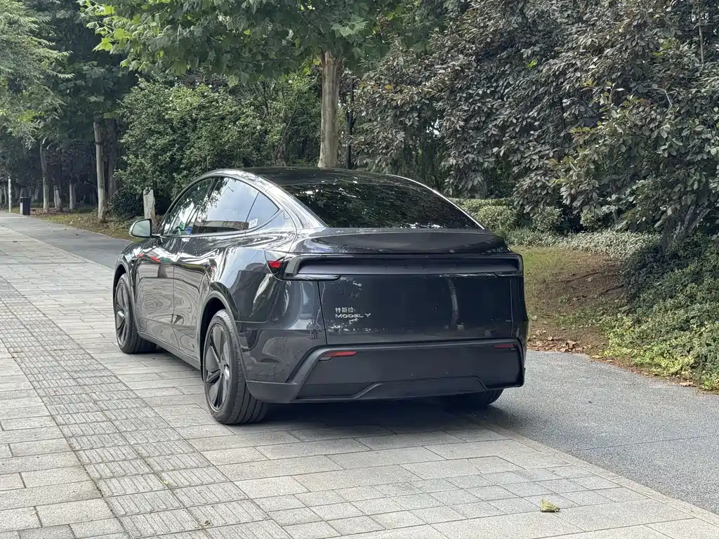 Tesla Model Y 2025 — фото 9