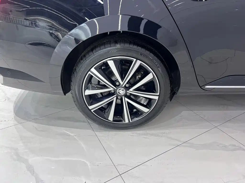 Skoda Speedy 2024 — фото 20