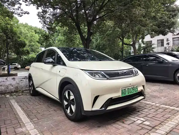 BYD Dolphin 2024