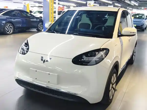 Wuling Bingo 2024