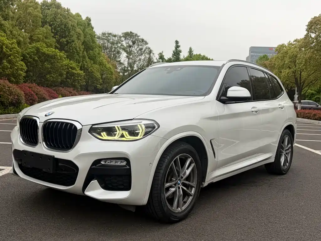 BMW X3 2019 — фото 1