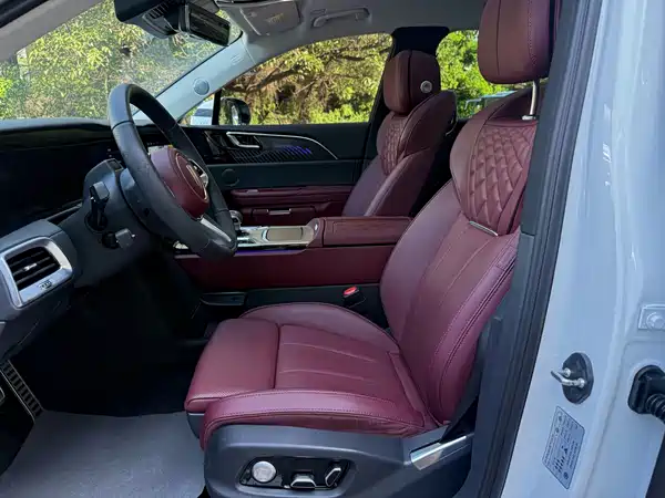 Hongqi E-HS9 2023