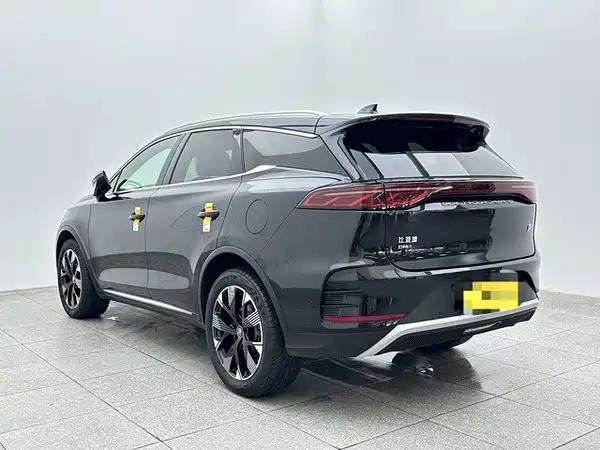 BYD Tang New Energy 2024