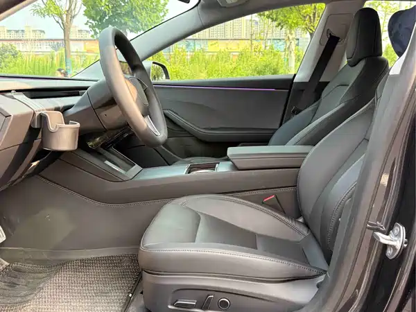Tesla Model 3 2025