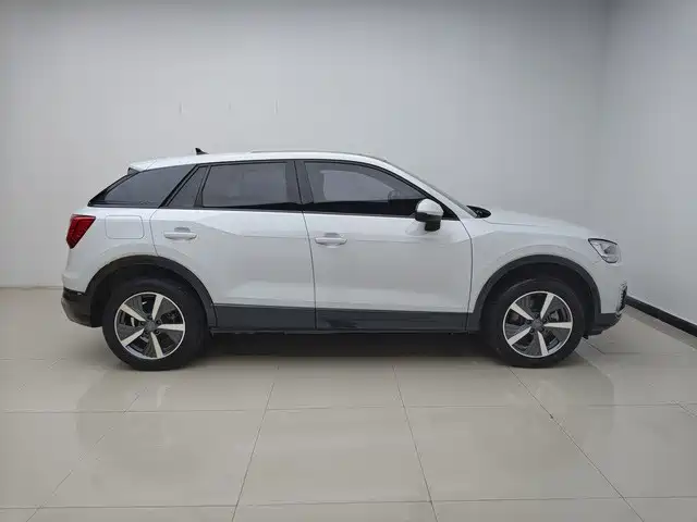 Audi Q2L E-Tron 2021