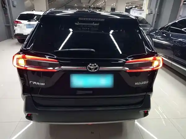 Toyota Wildlander 2022