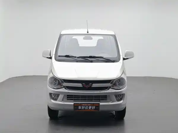 Wuling Sunshine 2015