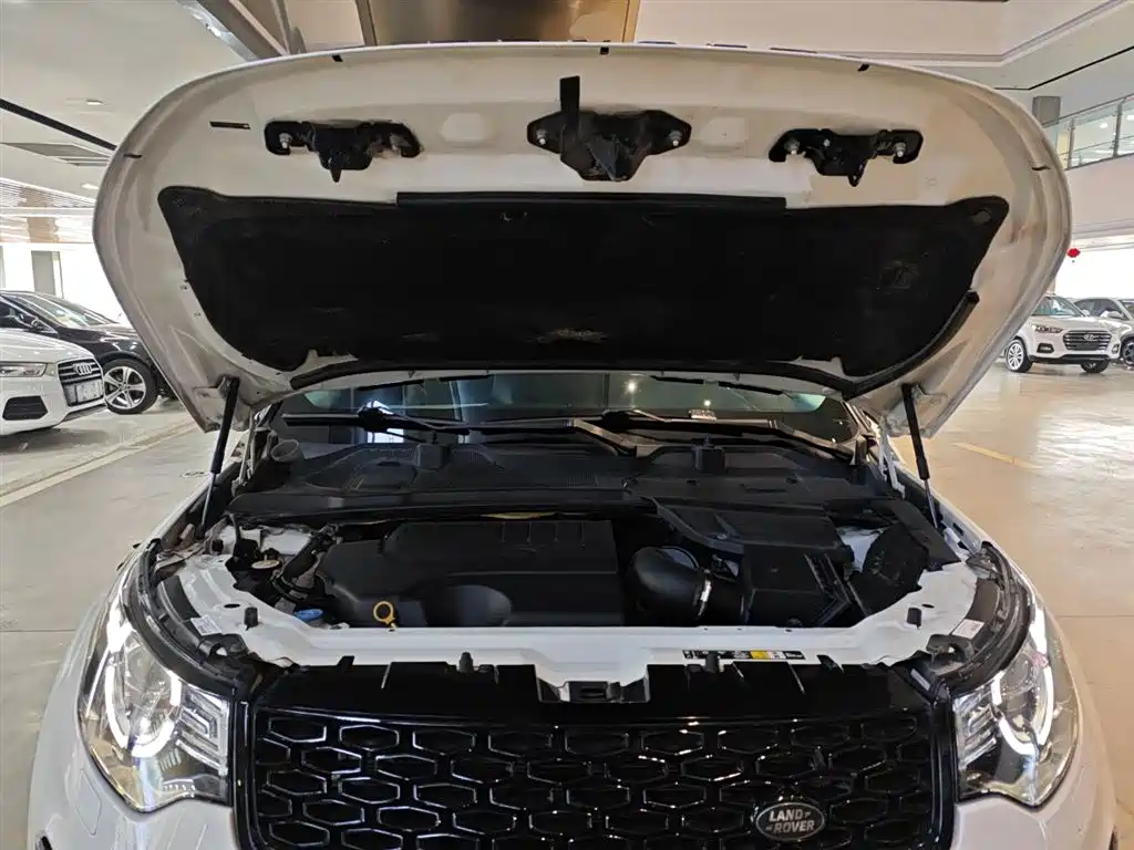 Land Rover Discovery Sport 2019 — фото 20