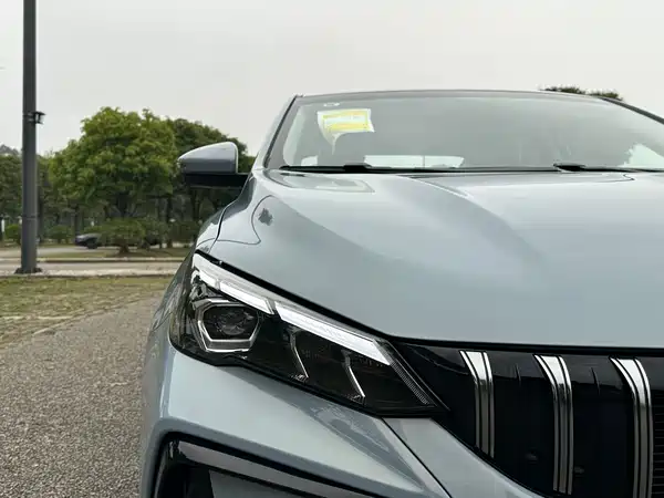 Geely Binrui 2024