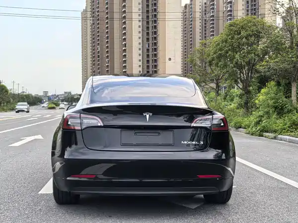 Tesla Model 3 2020