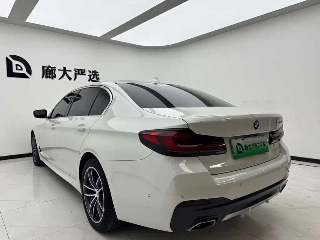 BMW 5 Series New Energy 2020 — фото 5