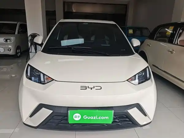BYD Seagull 2025