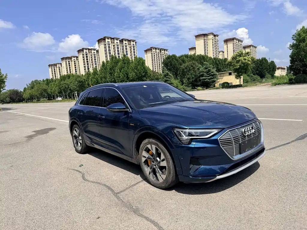 Audi e-tron 2020 — фото 3