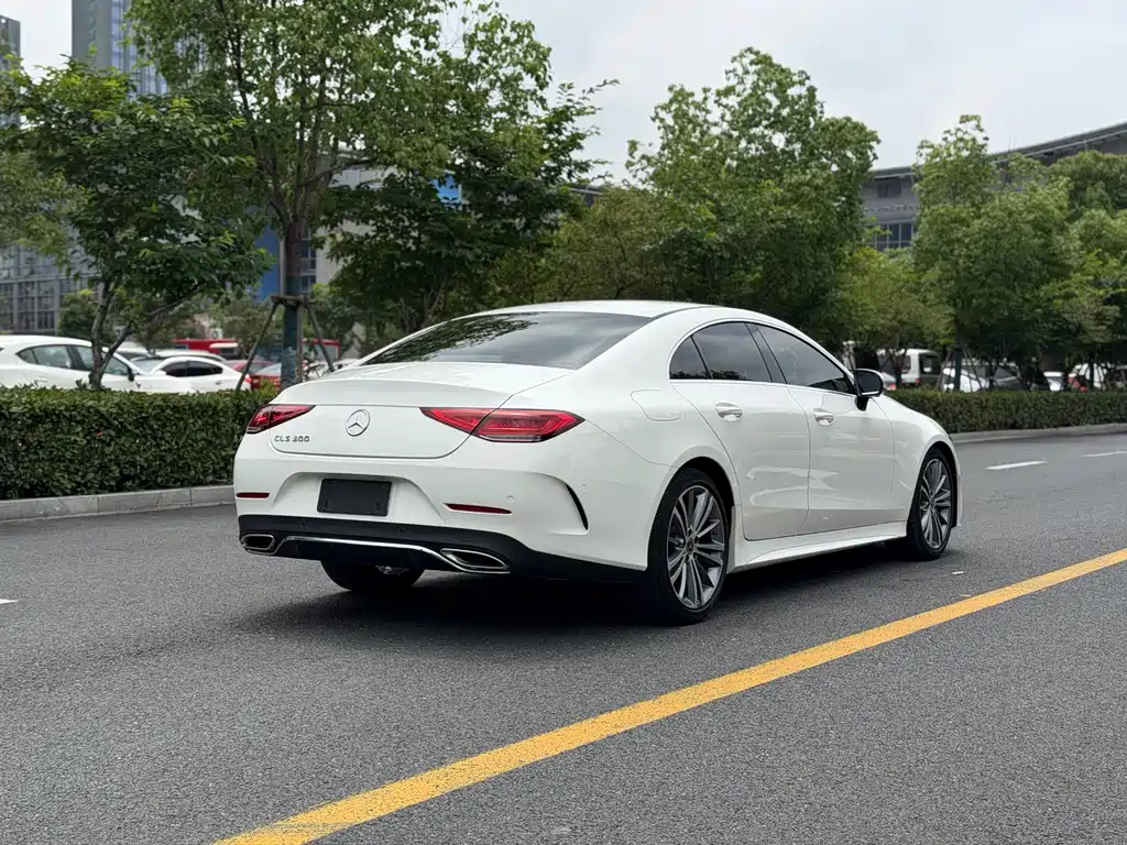 Mercedes-Benz CLS 2020 — фото 14