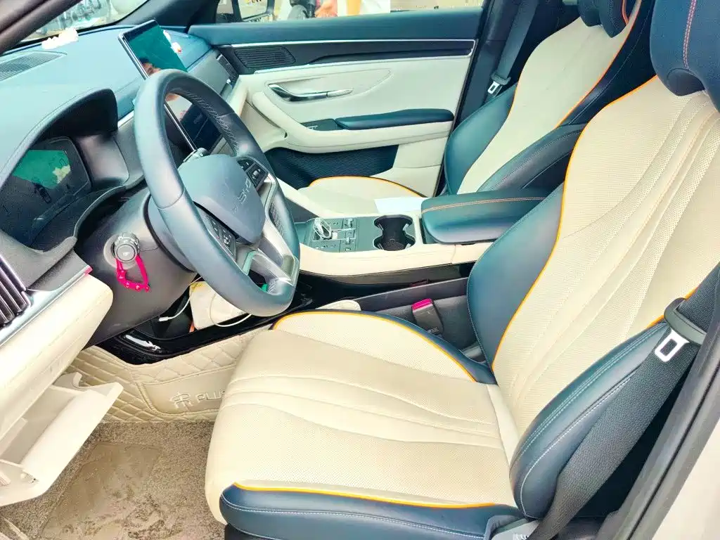 BYD Song PLUS New Energy 2024 — фото 8