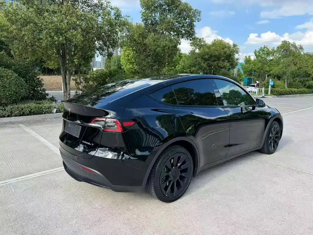 Tesla Model Y 2023 — фото 9