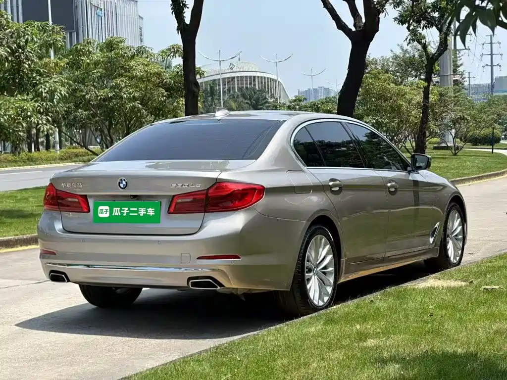 BMW 5 Series New Energy 2019