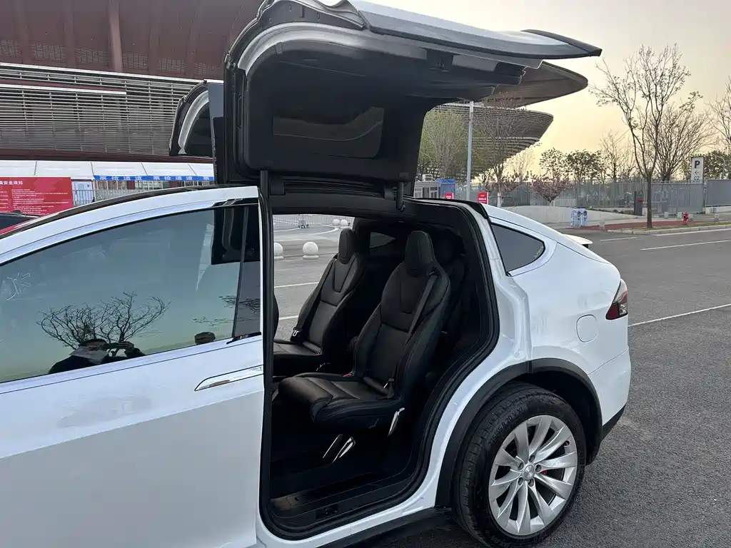 Tesla Model X 2019 — фото 15