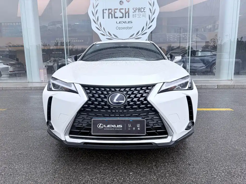 Lexus UX 2020 — фото 2