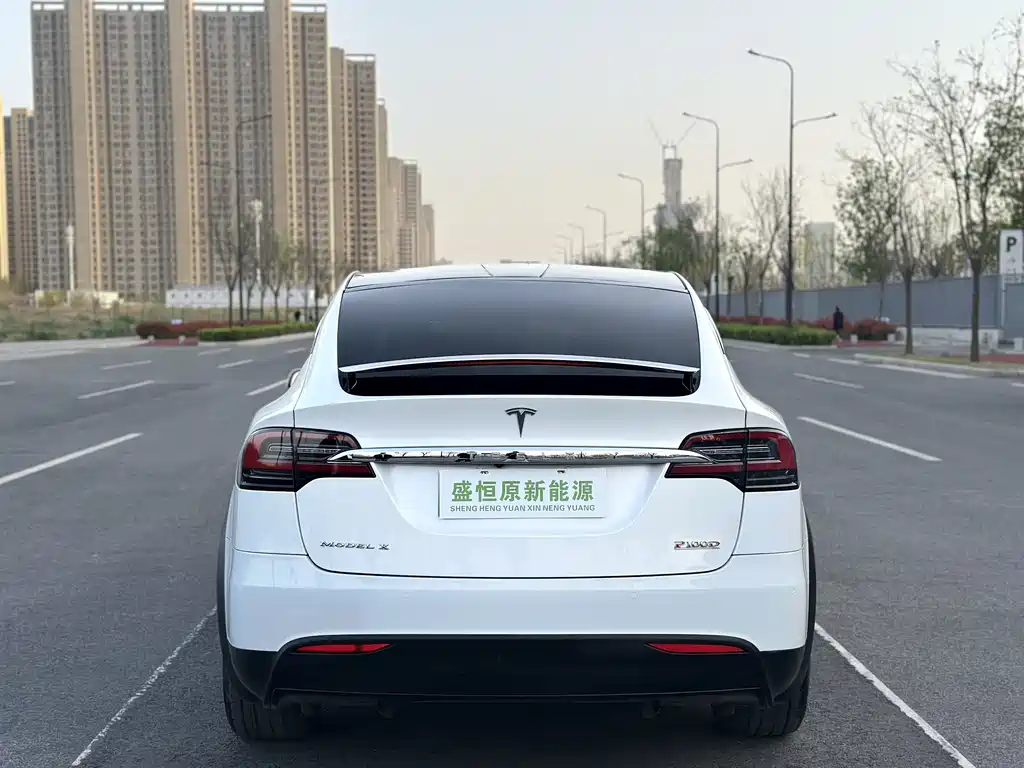 Tesla Model X 2019 — фото 8