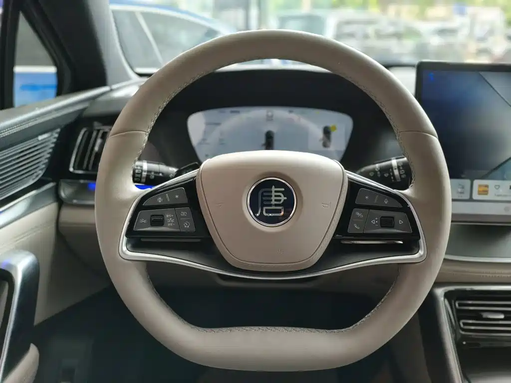 BYD Tang New Energy 2025 — фото 11