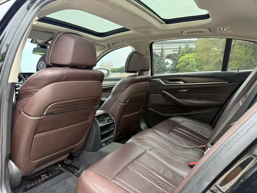 BMW 5 Series New Energy 2019