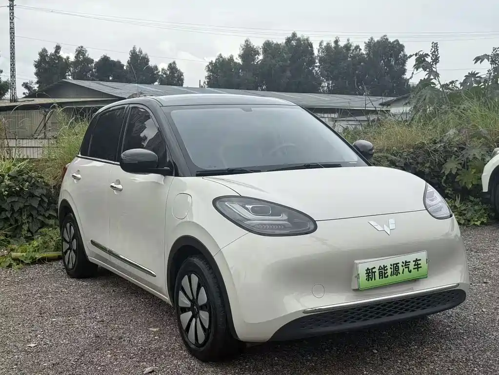 Wuling Bingo 2025
